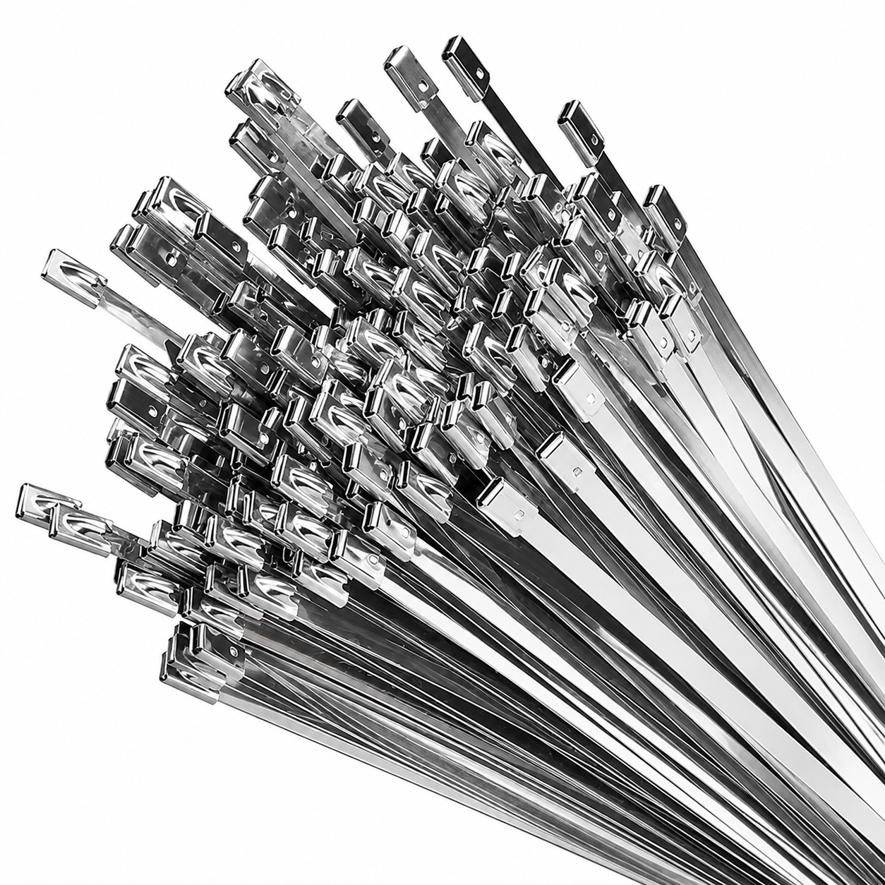 + 100 PCS Extra Zip Ties